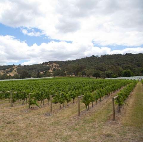 Photo: Sunshine Creek Vineyard Photo: Sunshine Creek Vineyard